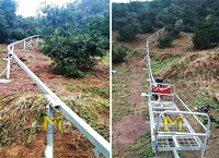 Transportador Monorraíl Agrícola Económico para Granjas de Montaña, Huertos y Jardines, con Motor Autopropulsado