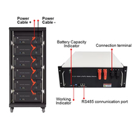 Boîtes de batterie Lifepo4 supports 51.2V 48V batterie solaire au lithium-ion montée en rack pour ESS