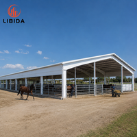 Nave Prefabricada Económica para Granjas, Gallineros, Ovejas, Ganado, Cerdos, Caballos, Taller Metálico, Fábrica, Almacén, Estructura de Acero