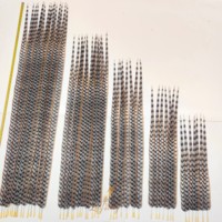 Plumes artificielles de faisan Reeves 40-150 cm - Couleurs et tailles personnalisées pour costumes de carnaval, coiffes et décorations de fête