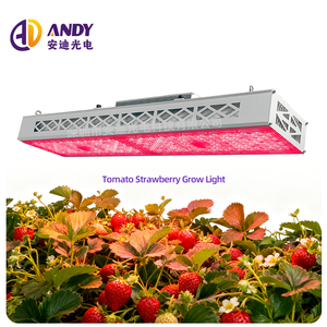 ANDY PPE 3.6 umol/<span class=keywords><strong>j</strong></span> ไฟปลูกต้นไม้ LED 300W 600W สำหรับเรือนเพาะชำมะเขือเทศผักกาดหอมสตรอเบอรี่ตัดดอก - Product Image 2