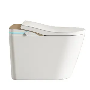 Hochwertige Fernbedienung neue Kreation batterie betriebener beheizter Toiletten sitz Taiwan Smart WC Bidet