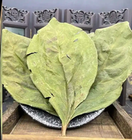 Feuilles de Kaki (Shi Ye Kaki Folium Persimmon Leaf) – Matériaux Herbacés Chinois de Haute Qualité – Produits Alimentaires Sains – Feuilles Séchées – Épices pour Régime