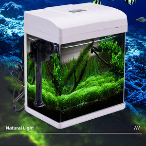 Mini Desktop Led <span class=keywords><strong>Aquarium</strong></span> Klein Vierkant Glas Acryl <span class=keywords><strong>Aquarium</strong></span> Gradiënt Onderwater Droom Huis Kantoor Indoor Decor Buitenruimte - Product Image 6