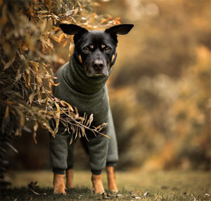 Qiqu suministros para mascotas personalizado nuevo diseñador de lujo pequeño mediano grande <span class=keywords><strong>Jack</strong></span> Russell <span class=keywords><strong>Terrier</strong></span> ropa cálida invierno perro cuello alto polar - Product Image 3