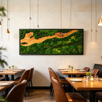 Décoration murale en mousse naturelle préservée personnalisée, panneau de mousse véritable encadré pour hall d'hôtel, bureau, commerce, décoration murale en mousse sur bois