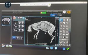 Sistema de Radiografía Digital Veterinaria Manhua <span class=keywords><strong>DR</strong></span> con Detector de Panel Plano Inalámbrico y Alámbrico - Product Image 4