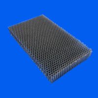 Panneau en nid d'abeille personnalisé de haute qualité en polycarbonate non métallique âme en maille PC pour lit de table de découpe laser