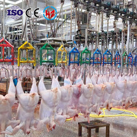 Matrice de traitement des volailles Haoze Easy-Clean |   500-15000BPH |   Solution clé en main |   Épluchage des plumes après l'abattage |   CE/ISO9001