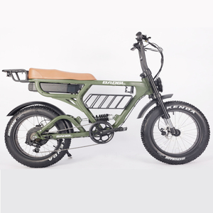 Vélo à Cadre en Aluminium avec Suspension Avant, Batterie au Lithium 48V, 7 Vitesses, ATV08 - Product Image 1