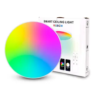 Modern 12 Inch 20W Indoor Smart LED Light RGB Colors Ceiling Design Surface Mounted Tuya Control LED Flush Mount