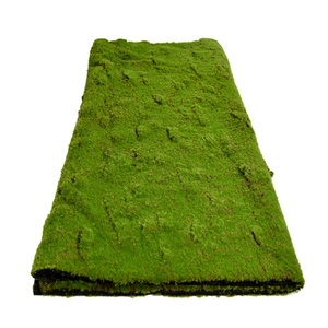 Tapis <span class=keywords><strong>de</strong></span> mousse artificielle <span class=keywords><strong>de</strong></span> plante miniature d'effet <span class=keywords><strong>de</strong></span> sol <span class=keywords><strong>de</strong></span> fente pour la décoration <span class=keywords><strong>de</strong></span> paysage - Product Image 6