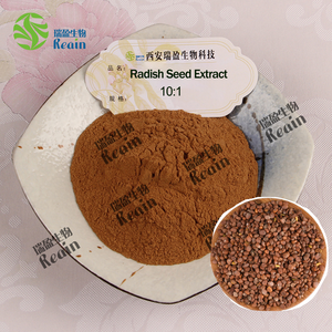 天然水溶性サプリメント精液Raphaniエキス10:1大根種子エキス - Product Image 3
