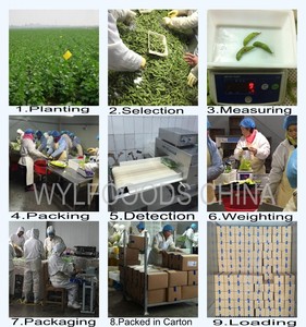 Oem bán buôn cung cấp chất lượng cao iqf Rau đông lạnh edamame đậu nành đông lạnh - Product Image 5