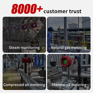 Medidor de flujo másico de <span class=keywords><strong>Gas</strong></span> Lpg de 2 pulgadas para vapor y aire comprimido 4-20mA Hart Pulse Ip65 Vortex Flujómetro para nitrógeno aire Co2 carbono - Product Image 5