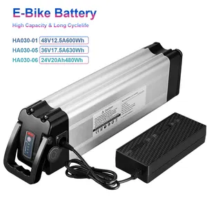 Usine personnalisé Ebike remplacer pièces 750W Ebike batterie 48 volts 48V 12.5Ah 36V 17.5Ah 24V 20Ah Ebike batterie pour vélo électrique
