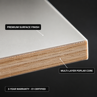 Panneau de bois décoratif multi-finitions, contreplaqué filmé/plaqué bois/laminé mélaminé pour la décoration intérieure