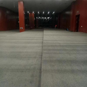 Không trơn trượt Máy làm Polypropylene Đồng bằng sang trọng màu hồng phòng khách sàn xù xì Fluffy Mat Thảm đống cao xoắn sợi thảm - Product Image 3