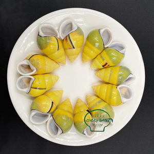 天然巻き貝の殻黄色のカタツムリの殻タンク風景コレクション標本右カタツムリヤドカリの家の交換用殻 - Product Image 6