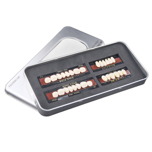 Dents en résine acrylique pour prothèses dentaires flexibles – Offre d'usine pour prothèses <span class=keywords><strong>pontiques</strong></span> - Product Image 1