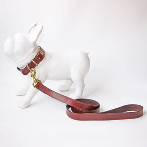 <span class=keywords><strong>Collar</strong></span> y correa de cuero genuino para perro, juego de correa con hebillas de latón, alta calidad, precio competitivo - Product Image 6