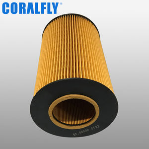 Filtre à huile Diesel pour moteurs de camion de haute qualité P7329 02931522 P550905 LF16244 LF17056 51.05504-0122 51.05504.0108 - Product Image 3