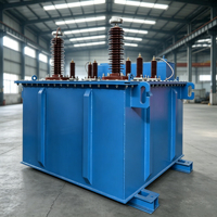 Transformador de excitación sumergido en aceite para pruebas eléctricas, unidad elevadora dedicada, voltaje ajustable, alta precisión, IP55, 1 año de garantía