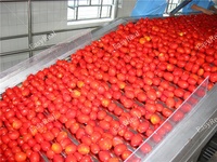 Goede Fabrikant Voedsel Industriële Processor Tomatenpuree Making Machine Ketchup Verwerkingsbedrijf Productie Lijn