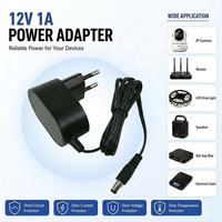 Adaptateur secteur AC/DC 12V 1A 12W personnalisé de haute qualité, alimentation intelligente en matériau PC/ABS pour système de sécurité et électronique domestique