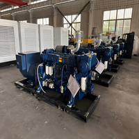 Generador Diésel Marino de 200kW 200A Weichai 250kVA con ATS, Anticorrosión, Circuito Cerrado, Resistente a la Salinidad, Trifásico, con Certificación CE e ISO