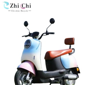 Moto électrique EBIKE 48V 350W avec moteur sans balais, batterie 20Ah, double suspension, autonomie de 60 km, coussin confortable, directement de l'usine européenne - Product Image 5