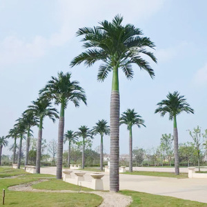 Venta al por mayor interior exterior grande 4m 8M cocotero artificial <span class=keywords><strong>palmera</strong></span> <span class=keywords><strong>gigante</strong></span> jardín Hotel paisaje cocotero - Product Image 2