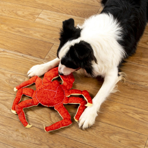 Wholesale Large Emperor Crab Design <b>Plush</b> Squeaky Chew Toys for Big Dogs Durable Interactive Stuffed Tug for Pet Dogs - Product Image 5