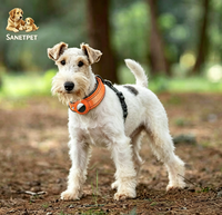 Colliers personnalisés en cuir PU pour chats et chiens, anti-perte, réfléchissants, réglables, écologiques, avec emplacement pour localisateur