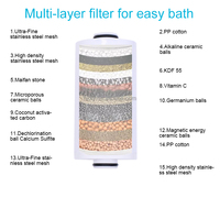 Salle de bain personnalisée 15 étapes pour éliminer le chlore Vitamine C métal purificateur d'eau filtre de douche filtre de douche pour cheveux