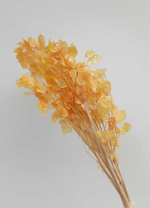 Flores Secas Lunaria Annua Naturales y Ecológicas, Hechas a Mano, de Larga Duración, Tendencia 2026, para Decoración del Hogar y Bebés - Product Image 3