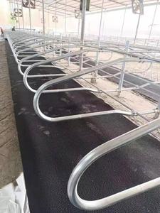 Materasso in Gomma per Bovini con Superficie ad Alta Frizione per Bestiame Aggressivo, Attrezzatura per Allevamenti Lattiero-Caseari - Product Image 4