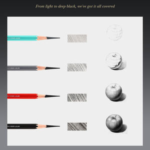 निजी ब्रांड अनुकूलित थोक उच्च गुणवत्ता वाले कलाकार ग्रेड 10 पैक चारकोल पेन सुरक्षित नहीं - Product Image 6