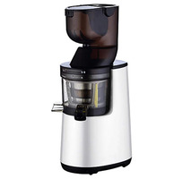 Extracteur Commercial OEM Grande Capacité – Presse-Agrumes à Grande Rendement pour Fruits Entiers en Acier Inoxydable – Extracteur Lent
