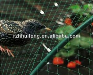 <span class=keywords><strong>Filet</strong></span> de treillis de <span class=keywords><strong>filet</strong></span> d'oiseau de jardin de plante de HDPE <span class=keywords><strong>pour</strong></span> l'arbre fruitier de plante - Product Image 6