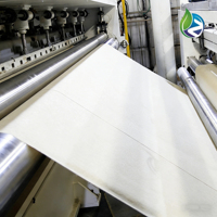 Tela Geotextil Industrial Negra Personalizada de Polipropileno No Tejido, Ecológica, Resistente a Desgarros y al Envejecimiento, con 5 Años de Garantía