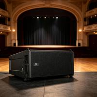 LEON AUDIO LA-50A Dual 6-Zoll Aktiver Line-Array-Lautsprecher mit Neodym-Treibern, Titanlegierung-Membran /XLR/USB-Anschluss