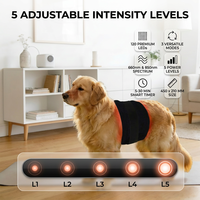 Tapis de luminothérapie LED portable à double longueur d'onde (660nm 850nm) pour animaux de compagnie, soulagement de la douleur pour le corps, les mains et les pieds OEM ODM