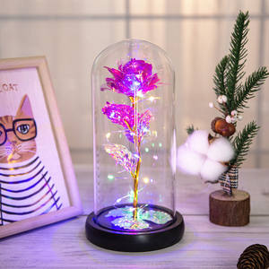 Pour toujours cadeau de la Saint-Valentin des mères fleur préservée noël plastique éternelle galaxie <span class=keywords><strong>rose</strong></span> <span class=keywords><strong>dans</strong></span> un dôme en verre avec lumières led - Product Image 2