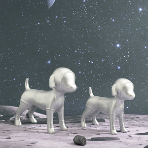 Maniquí de Fibra de Vidrio con Forma de Perro Espacial <span class=keywords><strong>para</strong></span> Tiendas de Mascotas y Fotografía Profesional de E-commerce, Exhibición en Salas de Exhibición de Marcas de Mascotas - Product Image 4
