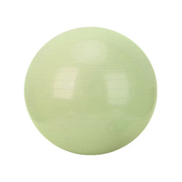 Vente en gros 55cm PVC souple Fitness Gym Ball pour les entraînements d'équilibre Logo personnalisé Yoga Ball Offre Spéciale équipement d'exercice