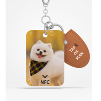 Tag Qr Pet NFC Tags Gravur Halskette Erkennungs marken Kunden spezifisches CAT-Halsband Anti-Lost 213 Epoxy RFID NFC DOG ID URL Print