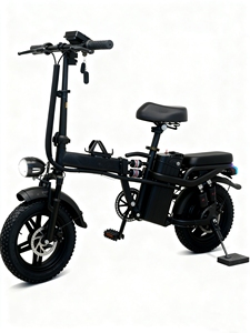 Nouveau <span class=keywords><strong>vélo</strong></span> <span class=keywords><strong>électrique</strong></span> pliable tout-terrain haute vitesse 800W avec pneu de <span class=keywords><strong>16</strong></span> <span class=keywords><strong>pouces</strong></span> super antidérapant pour la neige, double entraînement, véhicule de montagne - Product Image 4