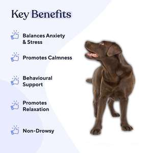 Golosinas Masticables Orgánicas Calmantes con Melatonina y Raíz de Valeriana, Sabor Natural para Perros, Absorción Rápida, Tratamiento Seguro para el Manejo del Estrés - Product Image 3