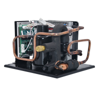 FSTHERMO 12VDC Mini Compresseur d'Air Refroidi par Air avec Condenseur à Micro-Canaux